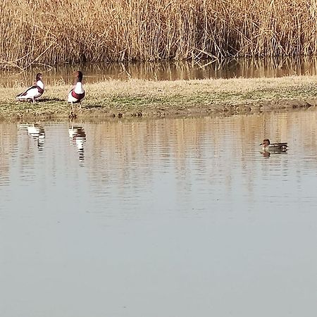 Agriturismo Venice Photobirding Tessera Luaran gambar