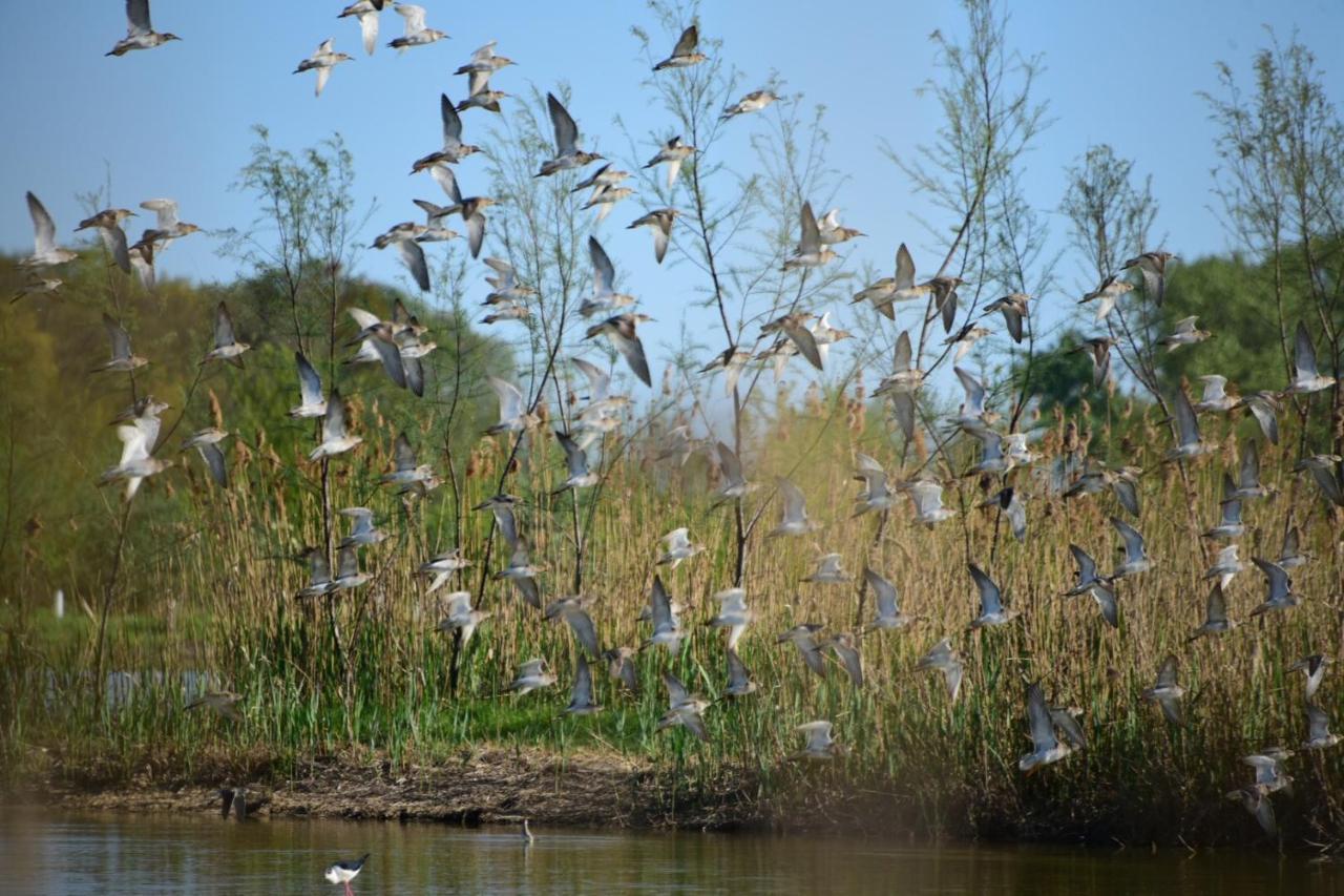 Agriturismo Venice Photobirding Tessera Luaran gambar